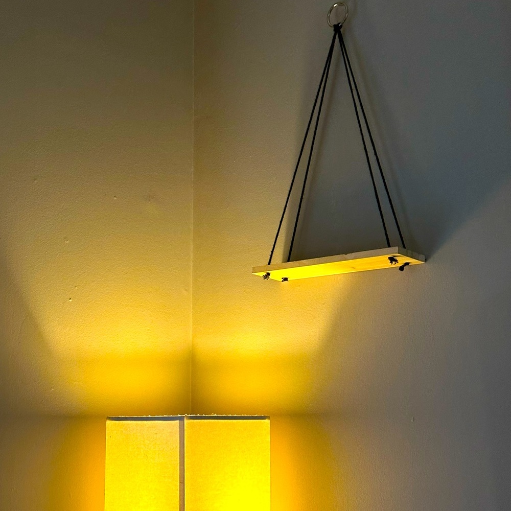 Set of 2 shelves